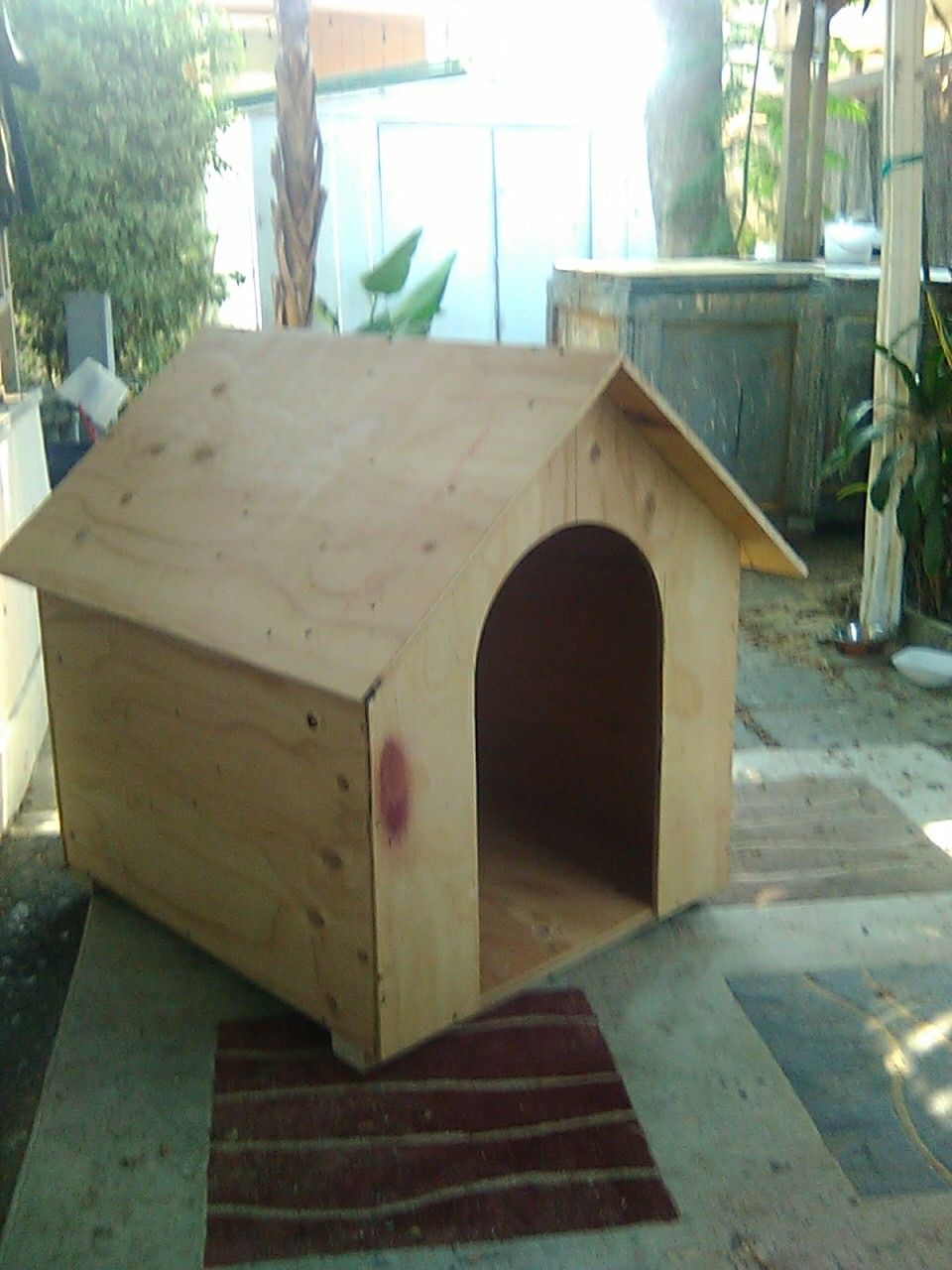 New wood dog house