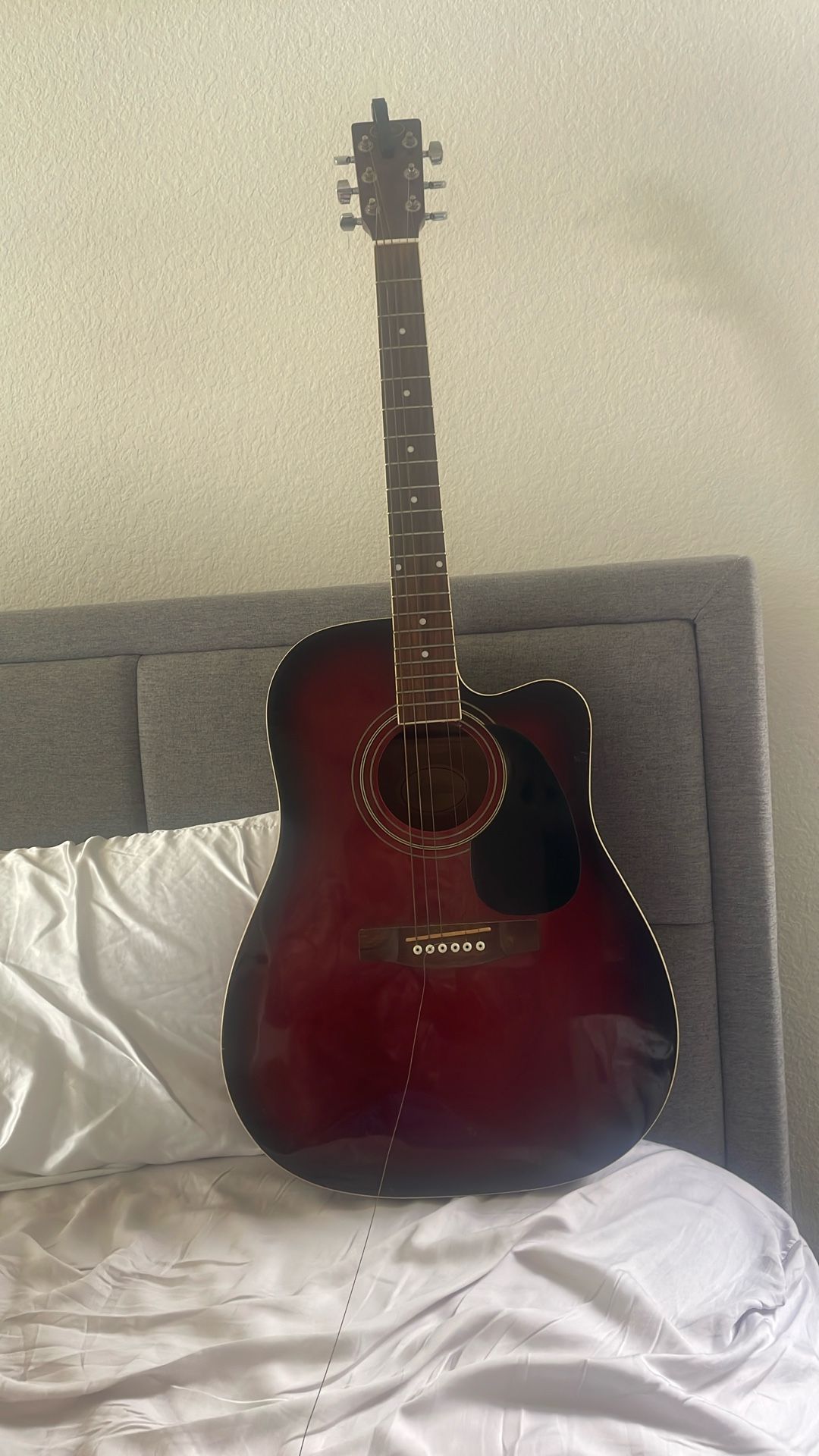6 String Guitar
