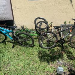 3 Bikes