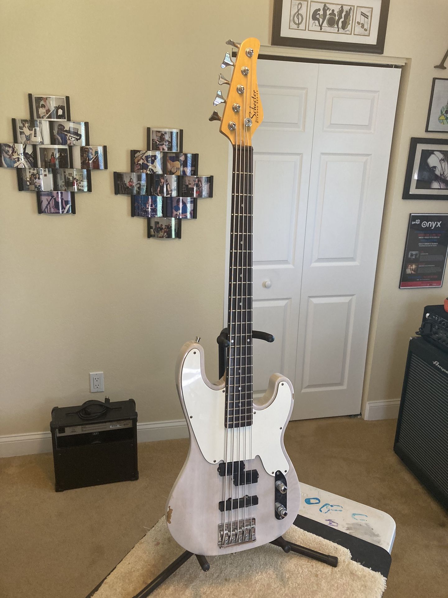 Schecter Model-T Diamond Series Robert DeLeo 5-string Bass