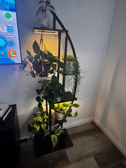 Plant stands with 2 grow lights on both.