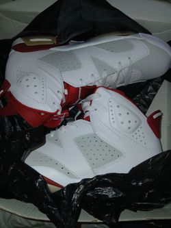 Jordan retro 6