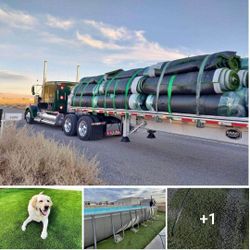 used turf WPB. $ 100 EA