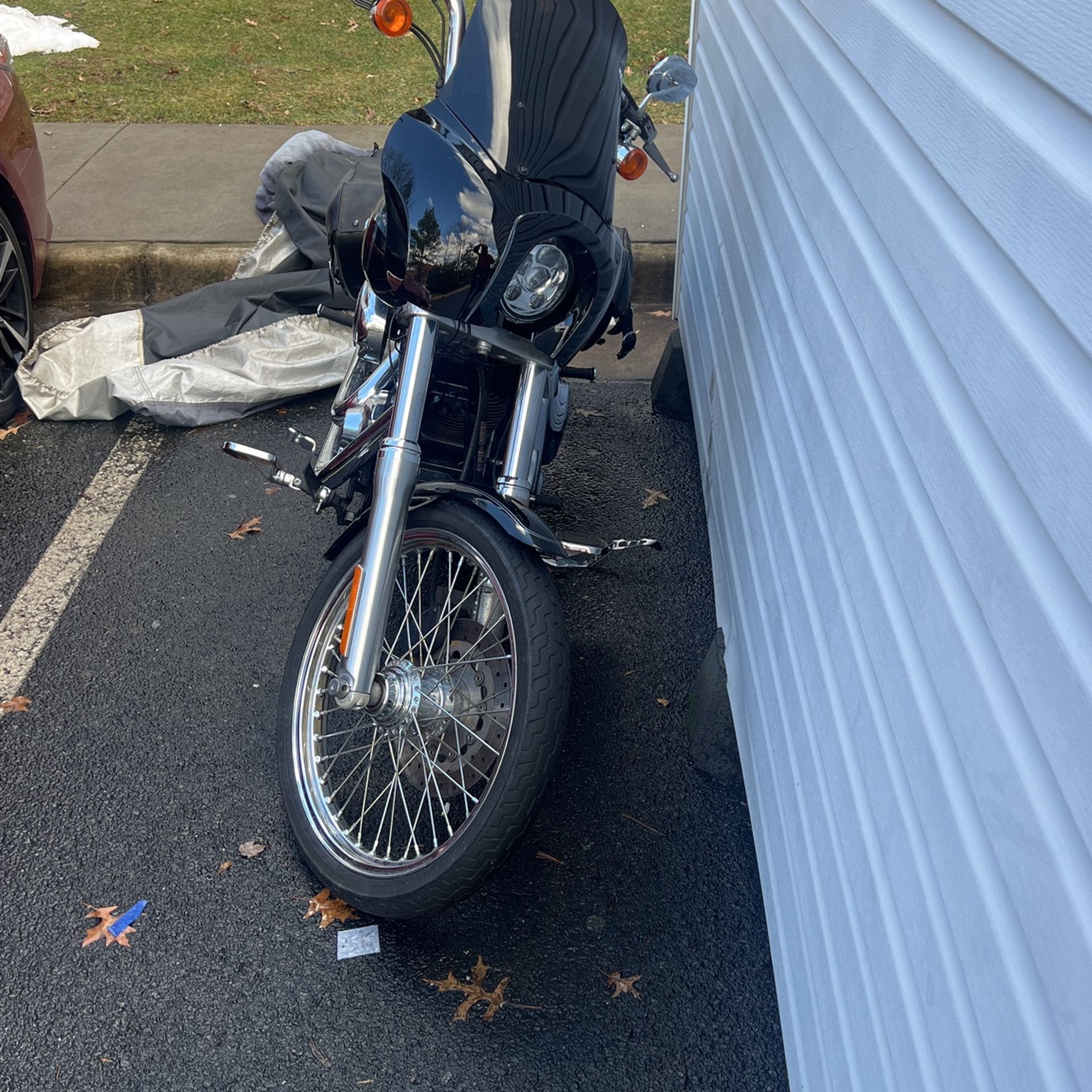 Harley Davidson Dayna Wide