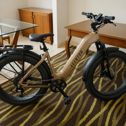 2025 Aventure .2 Step-Through E-Bike – Like New, 750W Motor - Monroe, MI
