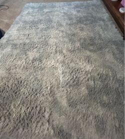 Big Gray/White rug