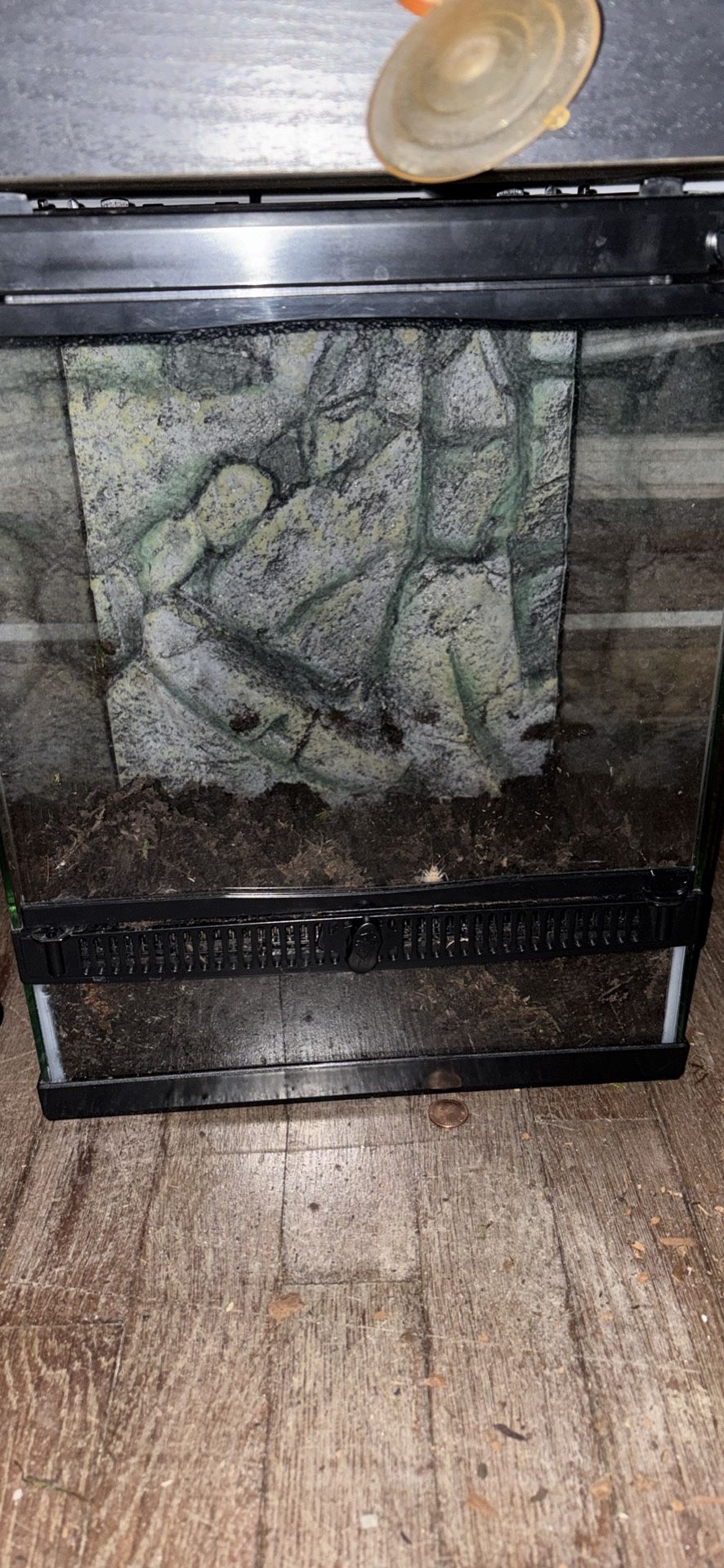 8x8x12 Reptile Tank