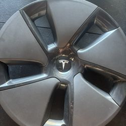Original Tesla Rim Covers 