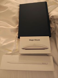 iPad Mini 6 256 GB Gray