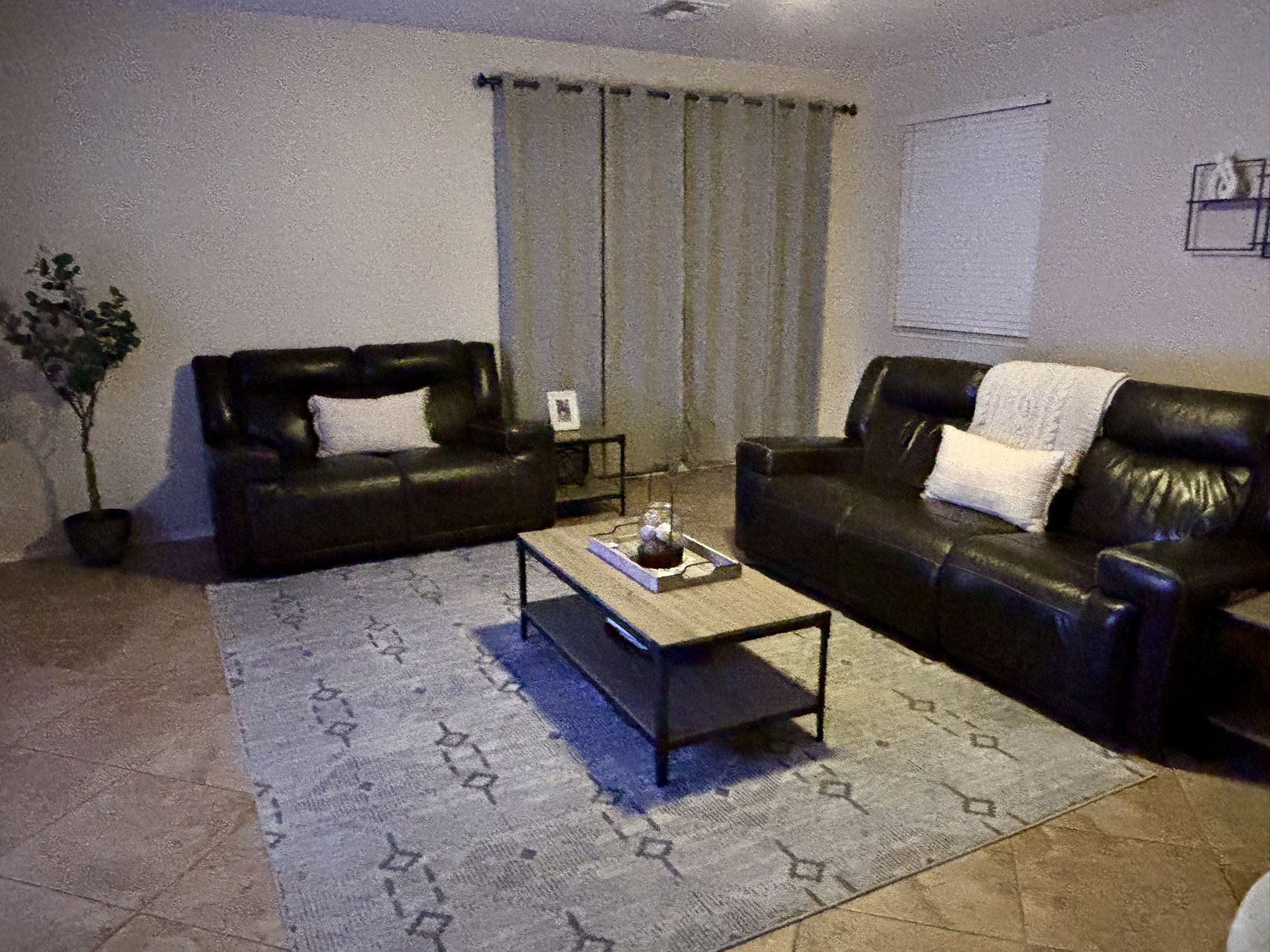 2 piece Leather Couch set 