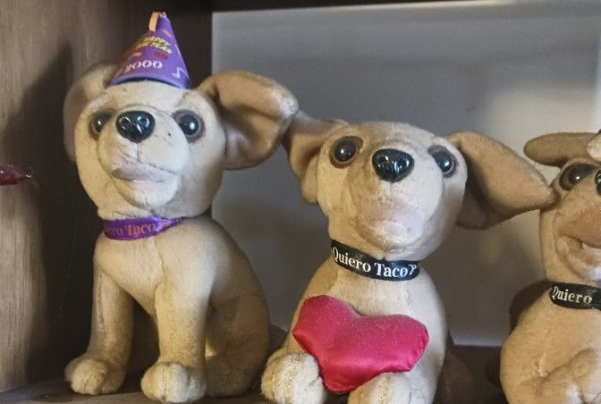 Talking Taco Bell Dogs