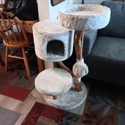 Cat Scratcher
