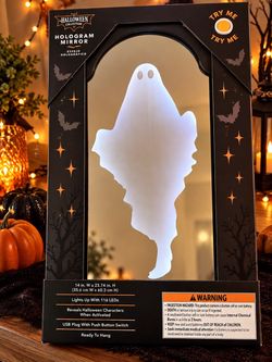 🎃 Halloween Hologram Mirror Light Up Ghost 116 LED USB 14” x 23.74” 🎃