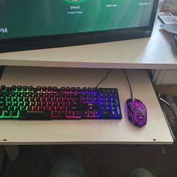 Keyboard and mouse