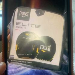 Everlast Mini Mits For Boxing