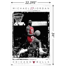2- New unopened Michael Jordan Posters