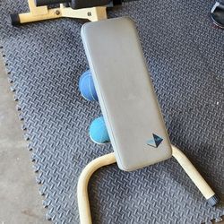Century Hyper Back Extension Work Out Equipment 
