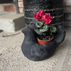 Ceramic Chicken Planter Only 