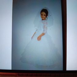 Girls Wedding Dress And Vail