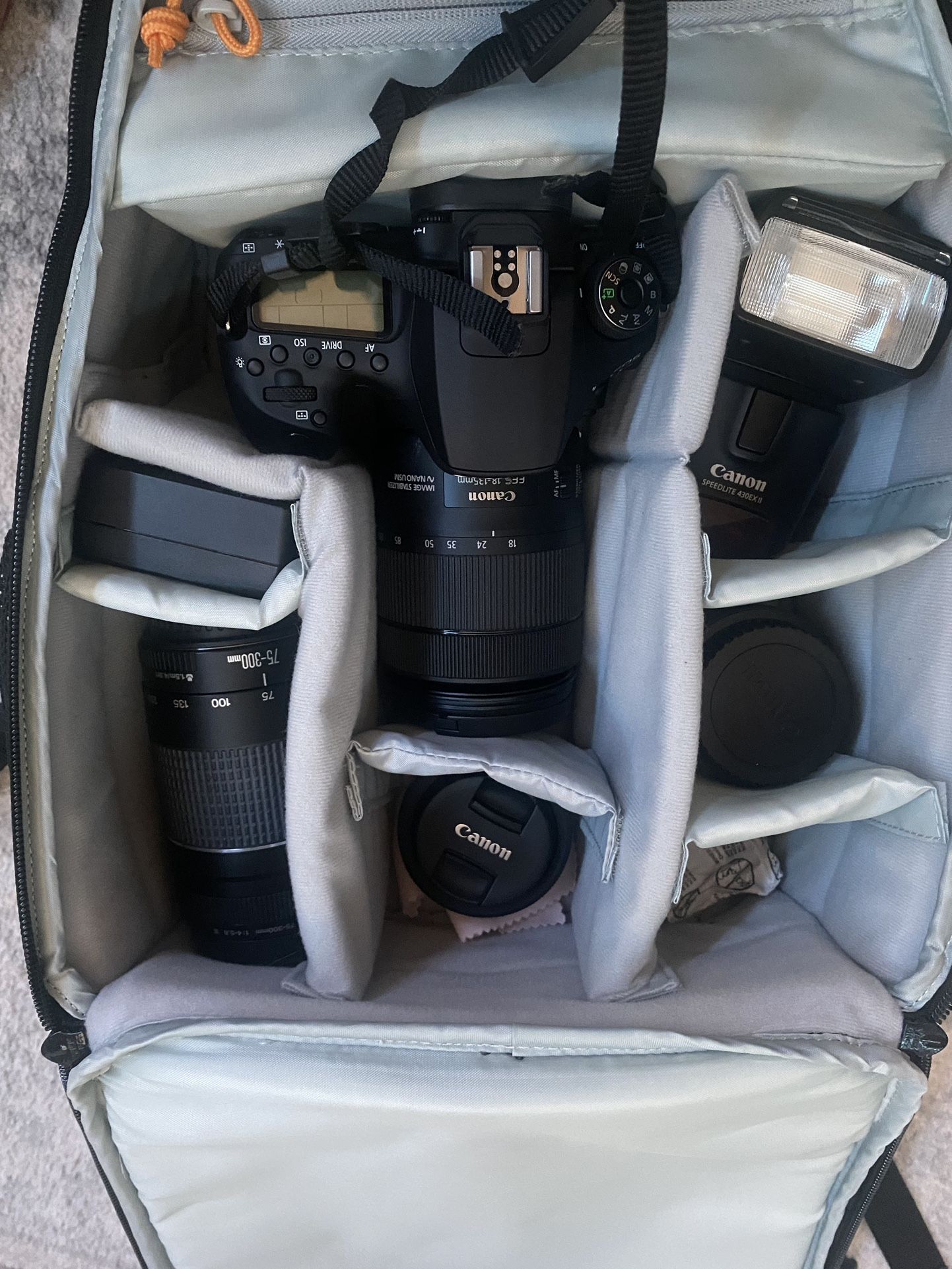 Canon Professional Camera
