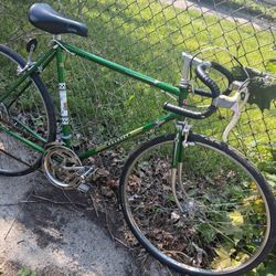 Bicycle