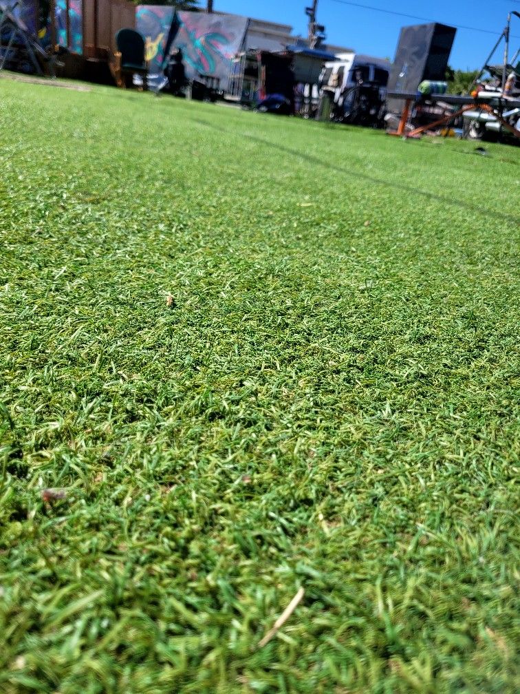 CHEAP ASTRO TURF!