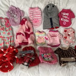 Puppy Outfit Outfits 