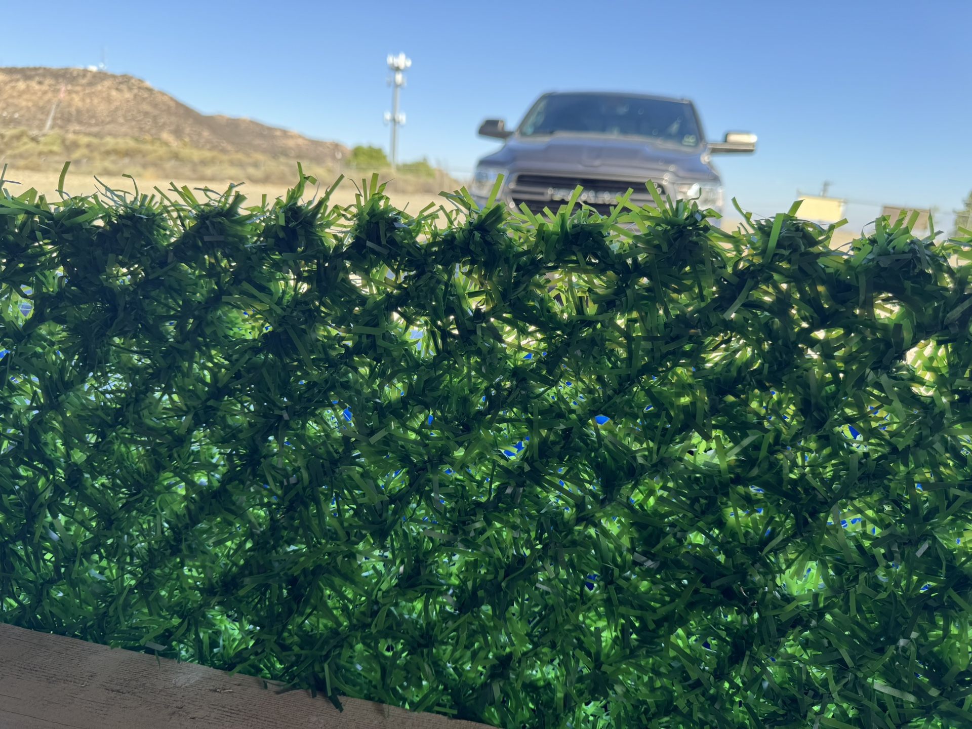 Artificial Grass Privacy Fence