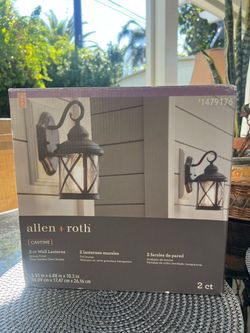 1 allen + roth outdoor wall lantern (only 1)