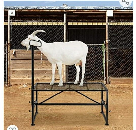 Livestock Stand 51x23 inches, Trimming Stand with Straight Head Piece