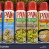Pam I Am