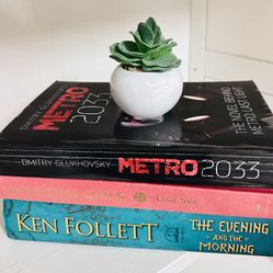 3 Books And Mini Ceramic Pot Fake Succulents