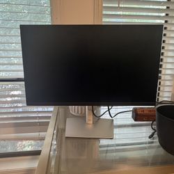 Dell 24 Inch Monitor 