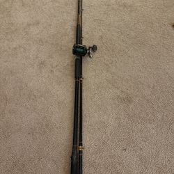 Ugly stick surf rod