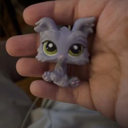Littlest Pet Shop Dog Yorkie Lavender
