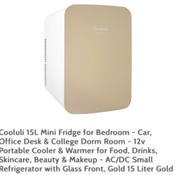 Mini fridge