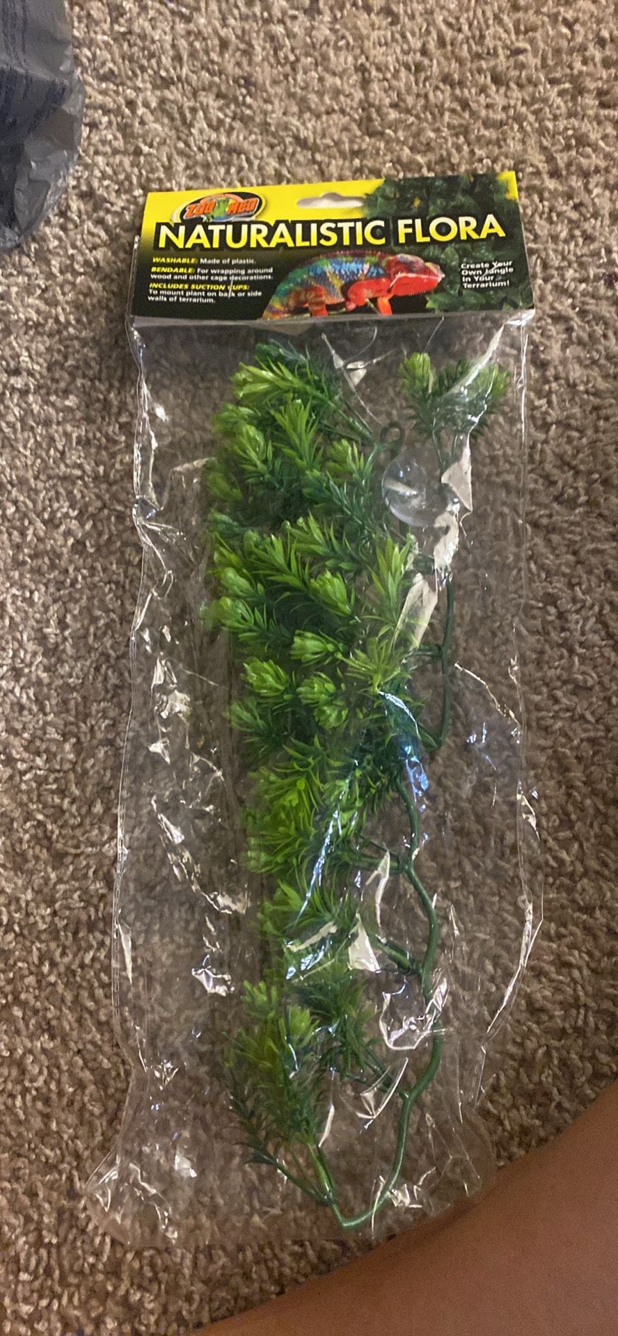 Reptile Tree