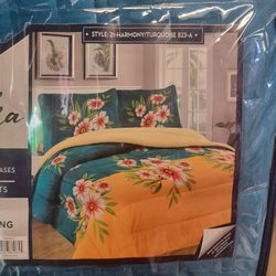 BORREGO BLANKET