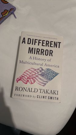 A Different Mirror