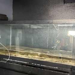 75 Gallon Glass Tank With Sand Lights Lids