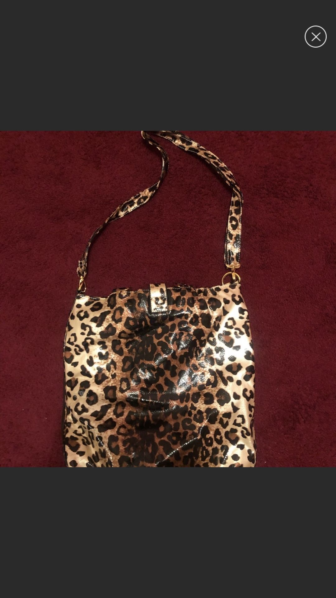 Purse/Hobo Bag