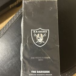 Raiders Bluetooth Speakers