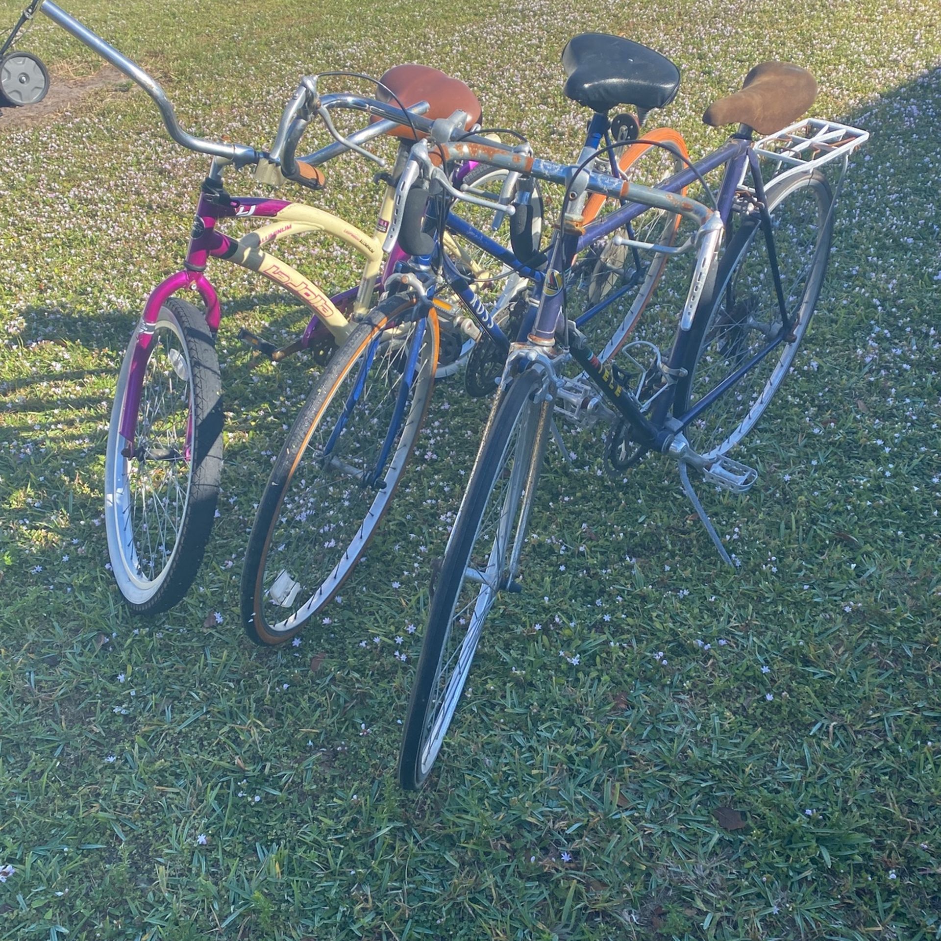 Bicycle $50
