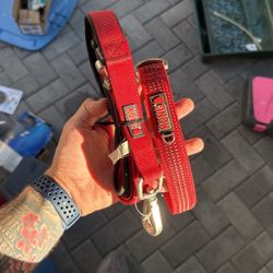 Dog leash and collar 