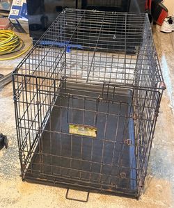 Dog Kennel