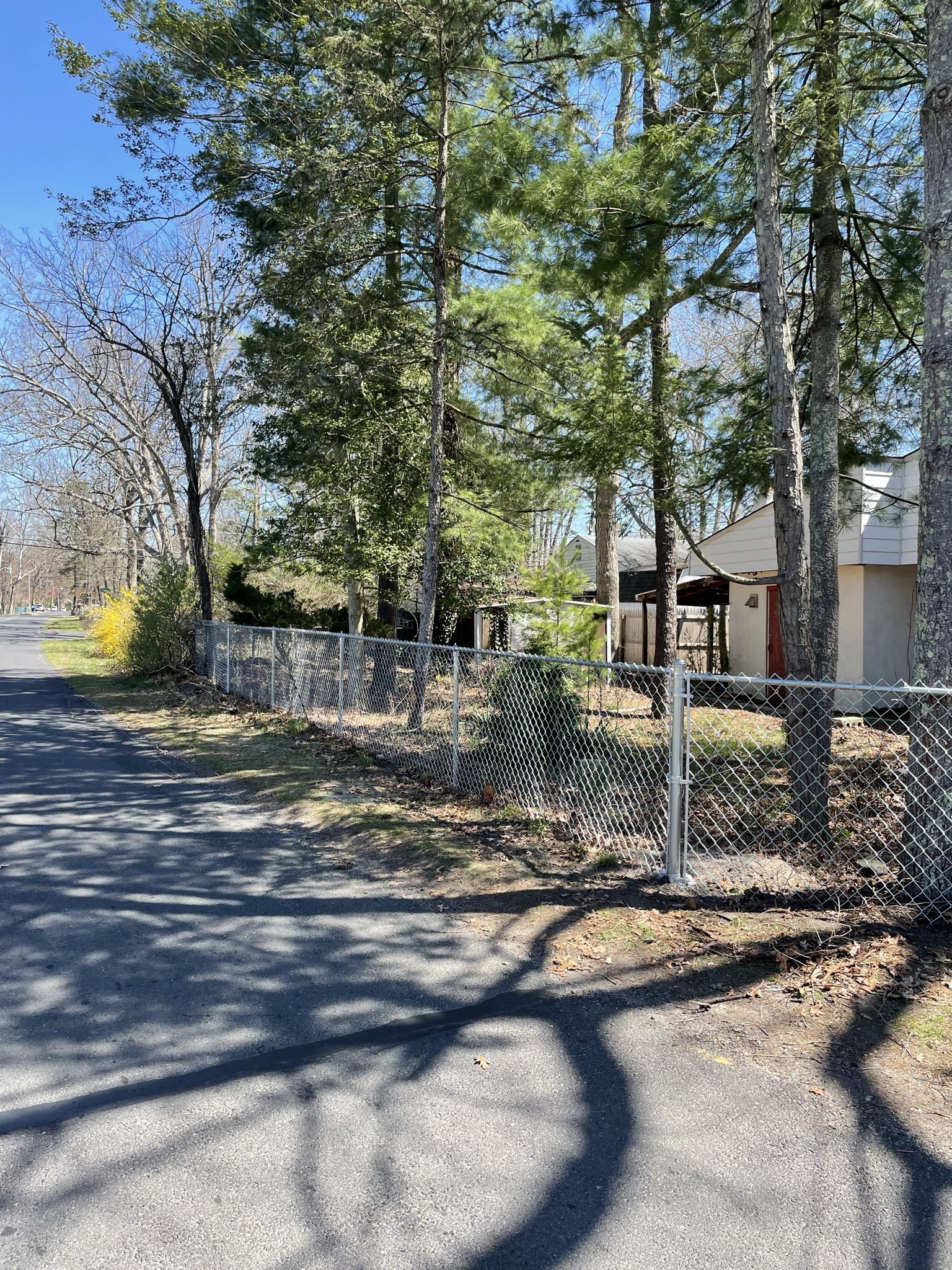 Chainlink Fence