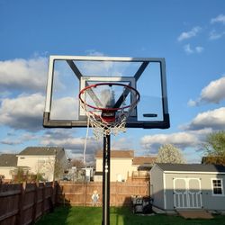 basketball hoop 