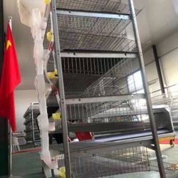 Cage For Quail 