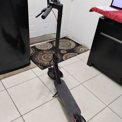 E Ok ectic Skate Board 5 Weeks Old 