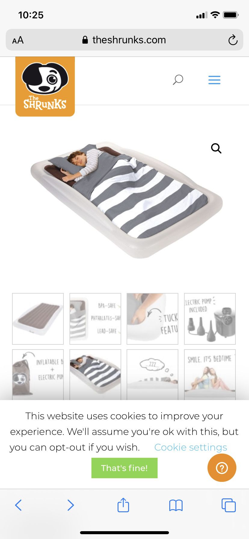 Shrinks Toddler air mattress with bumpers.